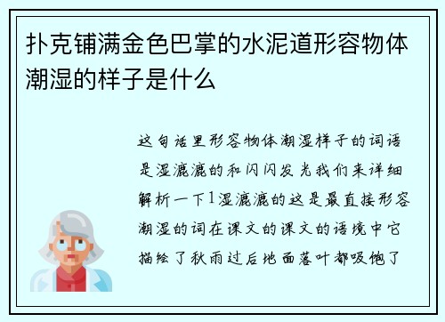 扑克铺满金色巴掌的水泥道形容物体潮湿的样子是什么